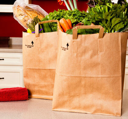 grocery bags with various foods
